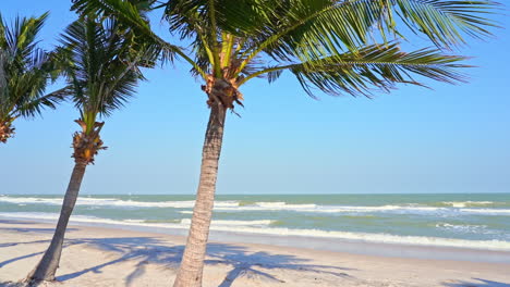 Palmen,-Die-Im-Wind-An-Einem-Wunderschönen-Einsamen-Strand-Wehen