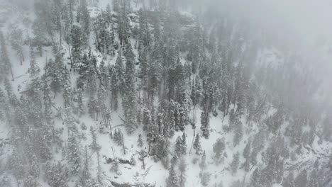 Schneesturm-Und-Nebel-über-Nadelwald-In-Der-Kalten-Winterlandschaft-Von-Colorado-Usa