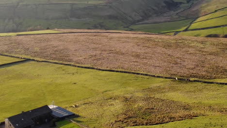 Sanfte-Hügel-In-West-Yorkshire-Drohne-Geschossen-Mit-Landwirtschaftlichen-Gebäuden