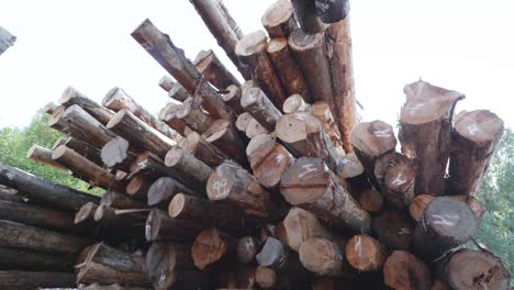 Großer-Holzstapel-An-Einem-Holzfällerstandort-In-Oregon