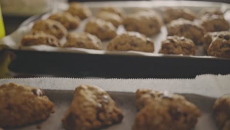 Freshly-Baked-Chocolate-Chip-Cookies-On-Baking-Tray