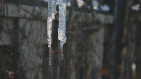Detail-Of-A-Dripping-Icicles-In-Bokeh-Background