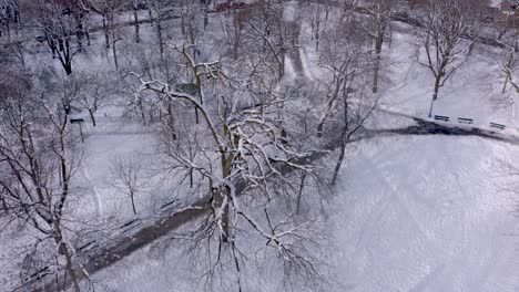 Die-Drohnenkamera-Zeigt-Nach-Unten-Und-Bewegt-Sich-In-Einer-Wunderschönen-Wohngegend-Im-Winter-Von-Montreal-Nach-Oben