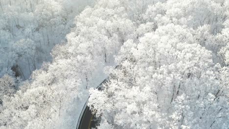 Curvy-asphalt-road-surrounded-by-magical-white-frosty-forest