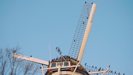 Windmühlenblätter-Mit-Silhouettierten-Vögeln,-Die-Im-Sommer-In-Der-Nähe-Der-Landschaft-Sitzen