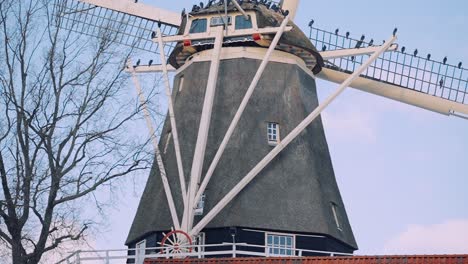 Traditionelle-Windmühle-Auf-Einer-Landschaft-Mit-Vogelschwarm,-Der-Im-Winter-Gegen-Den-Blauen-Himmel-Hockt