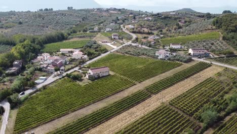 Aerial-landscape-view-of-an-italian-village-countryside-surrounded-by-vineyards
