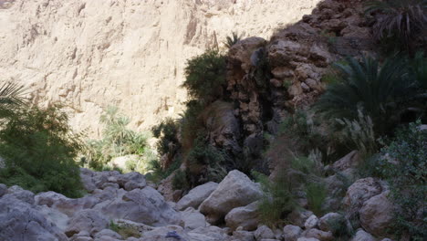 The-rocky-path-leading-to-the-pools-of-Wadi-Shab-canyon,-Oman,-medium-shot