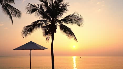 Silhouette-Einer-Palme-Und-Sonnenschirm-Vor-Einem-Tropischen-Sonnenuntergang
