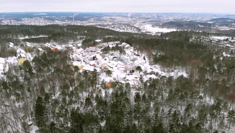 Backward-moving-aerial-over-snow-covered-huts-amidst-tall-trees-in-rural-suburbs
