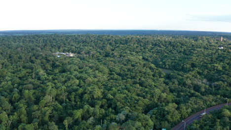 Aerial---Jungle-and-road-in-Iguazu-National-Park,-Misiones,-Argentina,-wide-shot