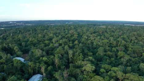 Aerial---Jungle-in-Iguazu-National-Park,-Misiones,-Argentina,-wide-forward-shot