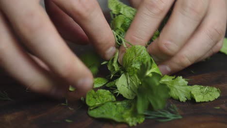 Rolling-herbs-ingredients-before-cutting-on-a-cut-board-in-kitchen
