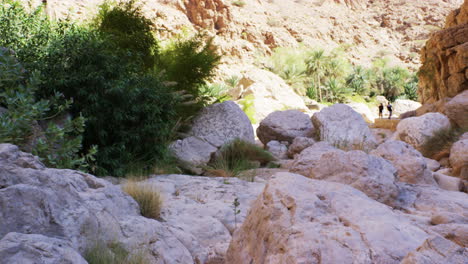 Die-Türkisfarbenen-Becken-Des-Wadi-Shab-Canyon-Im-Oman-An-Einem-Sonnigen-Tag,-Weitschuss