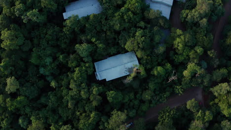 Drone---Hotel-in-jungle,-Iguazu-National-Park,-Argentina,-lowering-shot-overhead