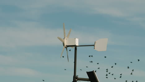 Wind-Turbine-Propellers-Spinning-With-Flock-Of-Birds-Flying-In-The-Background