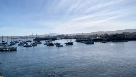 Barcos-Amarrados-En-El-Muelle-De-Monterey,-California.-Vista-Panorámica