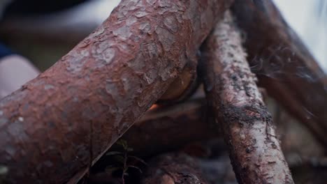 Slow-motion-close-up-of-a-person-lighting-up-a-campfire,-smoke-coming-out-from-under-the-logs