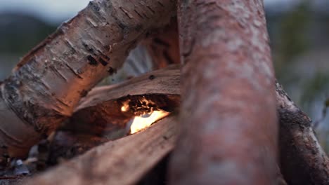 Slow-motion-close-up-of-a-small-campfire,-fire-burning-under-the-logs-in-the-outdoors