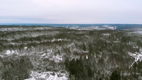 Aerial-view-over-snow-covered-countryside-pine-trees-during-extreme-winters