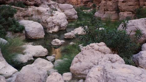 Die-Türkisfarbenen-Pools-Der-Wadi-Shab-Schlucht-In-Oman,-Handgehaltener-Weitschuss
