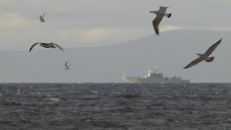 Slowmotion-Zoomaufnahme-Von-Vögeln,-Die-über-Dem-Ozean-Fliegen,-Mit-Einem-Kriegsschiff-Im-Hintergrund