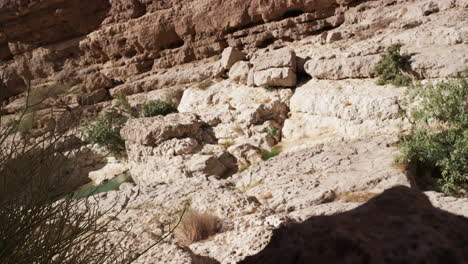 Die-Becken-Der-Wadi-Shab-Schlucht-In-Oman-An-Einem-Sonnigen-Tag,-Handgehaltener-Weitschuss
