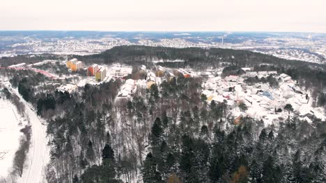 Birds-eye-view-of-winter-landscape-showing-snow-blanket-over-village-in-suburbs