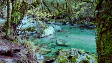 Crystal-clear-turquoise-water-stream-amidst-dense-green-jungle