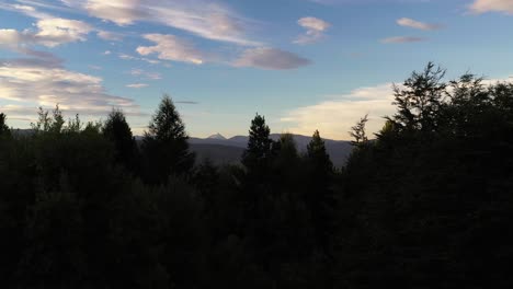 Aerial-Trucking-Shot-Zeigt-Silhouette-Von-Bäumen-Im-Wald-Und-Vulkan-Lanin-Im-Hintergrund,-Patagonien,-Argentinien