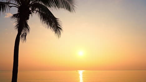Eine-Palme-Steht-Als-Silhouette-Vor-Einem-Rosa-Und-Orangefarbenen-Sonnenuntergang
