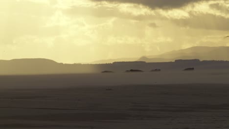 Starker-Wind-Weht-Am-Weiten-Sandstrand-Mit-Liegenden-Robben,-Sonnenuntergang,-Handheld