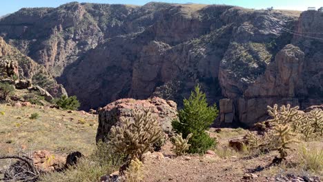 Sparse-vegetation-on-canyon-cliffs,-awesome-panorama-of-Royal-Gorge,-Colorado