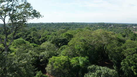 Aéreo---Selva,-Parque-Nacional-Iguazú,-Misiones,-Argentina,-Tiro-Panorámico-Hacia-Delante