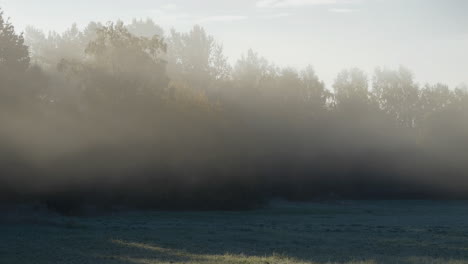 Autumn-Sunrise-in-Sweden:-Time-Lapse-of-Sunrays,-Mist-and-Trees