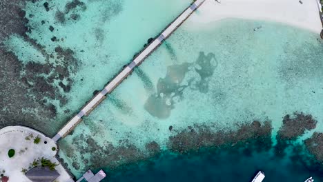 Agua-De-Mar-Turquesa-En-Maldivas-Con-Nubes-De-Peces