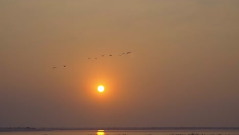 Pájaros-Al-Atardecer-Pájaros-Migratorios-Volando-Por-El-Lago-Osmanabad-India-Osmanabad