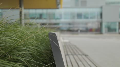 close-up-detail-view-of-modern-Park-Bench-and-garden-planter-in-an-empty-city-street