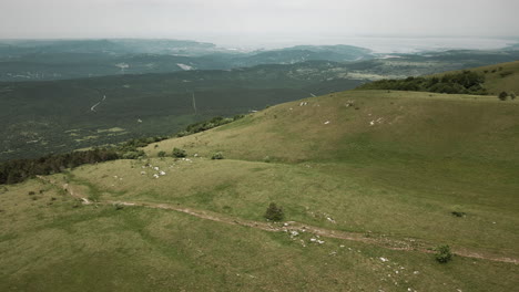 Drone-shot-of-meadows-on-the-mountain-Slavnik-with-a-view-towards-the-Adriatic-sea,-cloudy-sky