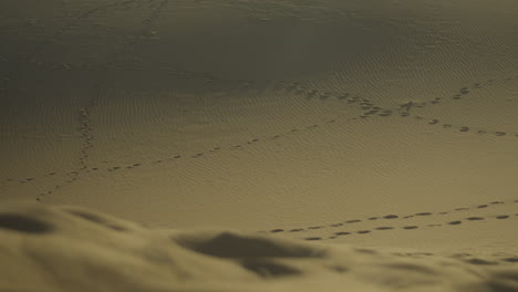 Handheld-cinematic-shot-of-the-dessert-sand-and-footprints-in-the-sand