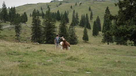 Hiker-on-the-Velika-planina-stopping-to-pet-a-cow