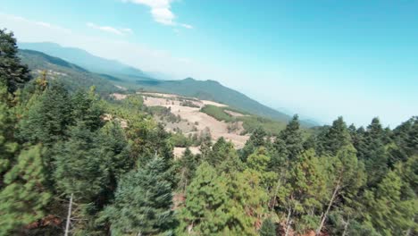 FIRST-PERSON-VIEW-OF-MOUNTAINS-AND-TREES-IN-A-FOREST-IN-MICHOACAN-NEAR-TANCITARO