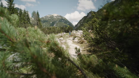 Camera-hiding-behind-the-conifer-tree,-hiker-walking-on-the-rocky-path-in-the-mountains,-sunny-summer-day-with-some-clouds-on-the-sky