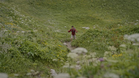 A-young-hiker-walking-with-the-hiking-poles-on-a-path-up-a-hill-surrounded-with-a-green-meadow-and-blooming-flowers-of-alps
