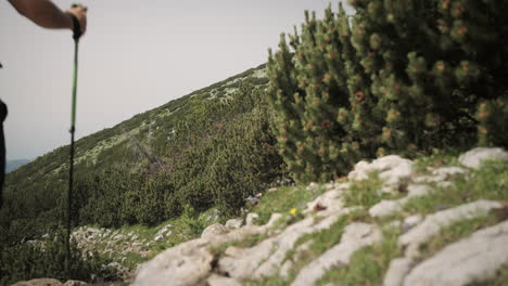 Hiker-with-hiking-poles-and-grey-backpack-walking-on-a-rocky-path-surrounded-by-conifer-trees,-taking-a-small-jump