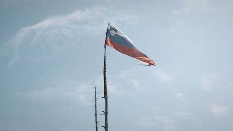Una-Bandera-Eslovena-Se-Adhiere-A-La-Parte-Superior-De-Un-Largo-Palo-Vertical-Y-Ondea-En-El-Viento