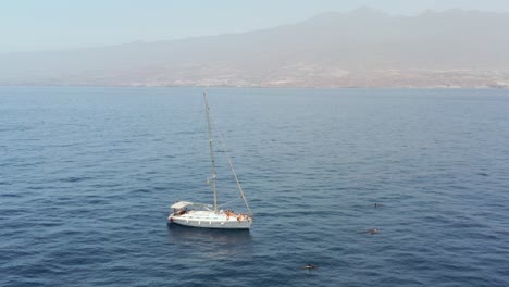 Ballenas-Piloto-Con-Yate-De-Vela-Blanca-Y-La-Isla-De-Tenerife-En-El-Fondo,-Antena