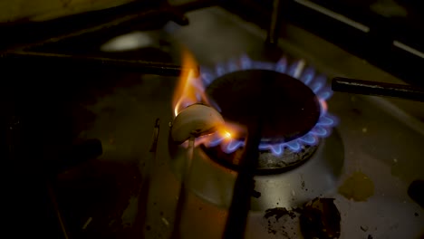 Heating-Roasting-Garlic-Clove-On-Gas-Stove