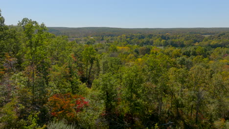 Push-over-tree-tops-in-a-forest-and-a-field-with-cows-grazing-in-the-country-of-southern-Missouri-on-a-beautiful-Fall-day
