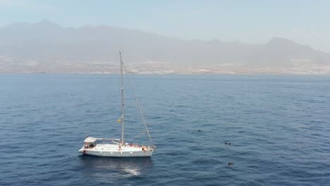 Yate-De-Vela-Flotando-Junto-A-La-Manada-De-Ballenas-Piloto-Con-Tenerife-En-Segundo-Plano.